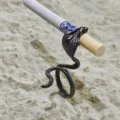 Vintage zwarte slang ring, gotische verstelbare vingerring als sigarettenhouder. - 16