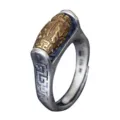 Bague pivotante tibétaine classique avec mantra pour homme, style chinois Garuda. - Réglable / Mantra Rétro 1