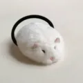 Simpatico elastico per capelli a forma di topo peluche bianco, design criceto morbido. - Topo Bianco