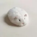 Grazioso elastico per capelli con ciondolo criceto peluche bianco soffice per ragazze - Molla per Capelli Topo Bianco