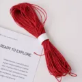 Red paper twine cord 30m length 2mm diameter for gift wrapping DIY crafts decoration packing - Paper String Bright Red 30m