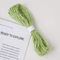 Light green paper twine 30 meters long 2mm diameter for gift wrapping and crafting. - Paper String Light Green 30m