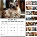 2027 wall calendar featuring cute kittens, monthly calendar with daily grids for home office. - Cat Theme Wall Calendar (2027) / Year 2027