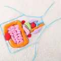 Kids human body organs cognitive early education toy aprons with removable plush internal models. - 600*400mm / Organ Diagram