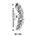 Adesivo per tatuaggio temporaneo gotico con citazione stimolante e design floreale elegante. - Stile Lettera Gotica (M-120)