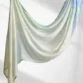 Women's Rayon Printed Long Scarf Gradient Yellow Green Blue Fashion Versatile Shawl - YW478-01