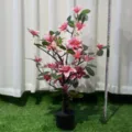 Artificial magnolia flower potted plant for home wedding indoor decoration display. - 80cm / Pink