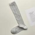 Grijs dameskuitkousen van ademend mesh met fijne kantafwerking voor lente en zomer casual. - Eén maat / Lichtgrijs