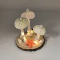 Handmade sea urchin shell night light with warm LED string lights and wooden base decor. - Style 3 (Approx 37g, Approx 7.5x8cm)