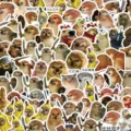Detail view of funny meme dog stickers, waterproof vinyl decals for laptop and water bottle. - Pack of 100