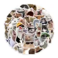 51pcs funny cat stickers cute meme cat waterproof stickers for laptop phone suitcase decor - Funny Cat Series