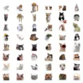Cute funny meme cat waterproof stickers detail view, perfect for laptop and phone decoration. - Funny Cat 51 Pcs Set
