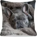 Süsser Französische Bulldogge Kissenbezug, weicher dekorativer quadratischer Sofakissenbezug Neu. - Stil 45