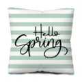 Green and white striped throw pillow cover with Hello Spring print for sofa bed decor. - Hello Spring Letter