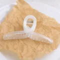 Minimalist transparent hair claw clip wavy shark clip elegant hair accessory for women - HS02844 White