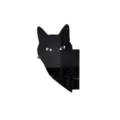 Black cat head acrylic mirror detail showcasing glossy reflective surface and unique silhouette design. - Style B (Cat Head Silhouette) / Black