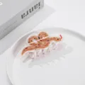 Acetate hair claw clip with cute cartoon snake design, stylish minimalist hair accessory. - Brown Snake