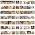 Cute funny hamster meme stickers for phone case luggage laptop decoration waterproof decals - 60 Pcs Hamster Meme Stickers