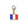French flag enamel charm with lobster clasp, metal DIY jewelry accessory pendant variant. - France Flag