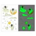Waterproof kids luminous temporary tattoo stickers cute space astronaut cartoon sticker. - Ei-065 Moon Cloud