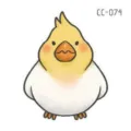 Cute cartoon bird temporary tattoo sticker, chubby bird design variant for kids. - CC-074