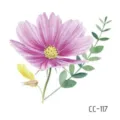 CC-117