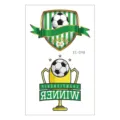 Kids waterproof temporary football tattoo stickers, sports fan carnival body art decals. - EC-048