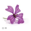 Waterproof purple flower temporary tattoo sticker facial body art fashion makeup decor - CC-111