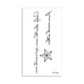 Waterproof temporary tattoo sticker featuring cursive text design and a stylish star. - Cursive English Star(HC-229P) / 60*105mm