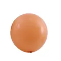 Round matte latex balloon variant in light brown color for birthday party and wedding decor. - 50 Pieces/Pack / Nude