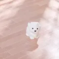 Mini statuetta cucciolo bianco resina scrivania micro paesaggio ornamento decorazione. - Westie