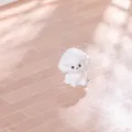 Miniature white poodle puppy figurine, cute realistic resin DIY micro landscape decoration accessory variant. - Teddy