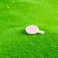 Mini accessoire de décoration DIY de jardinage micro-paysage en forme tissée rose - Éventail