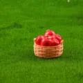 Piccolo cestino di mele rosse artificiali per giardino in miniatura muschio decorazione scrivania - Cesto di Mele
