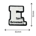 Chenille letter E embroidery patch black and white DIY applique clothing badge 81x91mm - Small Letter E