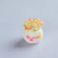 Miniature succulent potted plant cute resin desktop decor DIY garden landscape ornament small accessory - Peach Egg