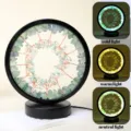 Round crystal tree lamp with three color modes, natural gemstone glowing decor for bedroom. - Green Fluorite Rough & Green Fluorite Tree (Three-Color Dimming)
