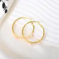 Handmade Wire Wrapped Rose Quartz Natural Stone Gold Hoop Earrings Stainless Steel Vacation Jewelry - Rose Quartz / Gold