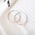 Handmade wire-wrapped natural pink crystal quartz stone round hoop earrings for women vacation. - Rose Quartz / Silver