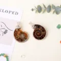 Natural fossilized ammonite shell wire wrapped pendant necklace, handmade unique jewelry piece. - Silver Edge