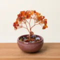 Natural carnelian crystal money tree gemstone bonsai wealth tree for home office desk decor - Red Agate