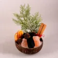 Natural crystal demagnetizing bowl coconut bowl gemstone home decor aromatherapy stone ornament - Black Tourmaline Style