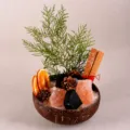Natural crystal demagnetizing coconut bowl set with raw stones, essential oil diffuser decor. - Black Obsidian