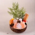 Natural crystal demagnetizing coconut bowl with raw rose quartz stones and dried plant decor. - Pink Crystal