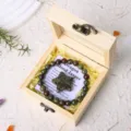 Natural crystal dragon blood jasper bracelet and pentagram star ornament in a wooden gift box. - Dragon Blood Jasper Gift Box Set