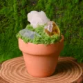 Natural crystal rough stone potted plant desktop DIY decoration mineral specimen home decor - Style 8