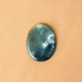 Pierre de souci en agate mousse verte ovale cristal poli pierre de poche de guérison - Agate mousse