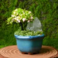 Natural crystal rough stone potted plant bonsai home decor DIY micro landscape desktop ornament - Style 12