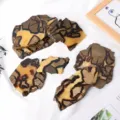 Natural septarian nodule slices for home decor wholesale raw mineral specimens display pieces - Height 9-11cm