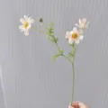 Artificial cosmos daisy faux floral stem for DIY crafts, home decor, and hair accessories. - Champagne